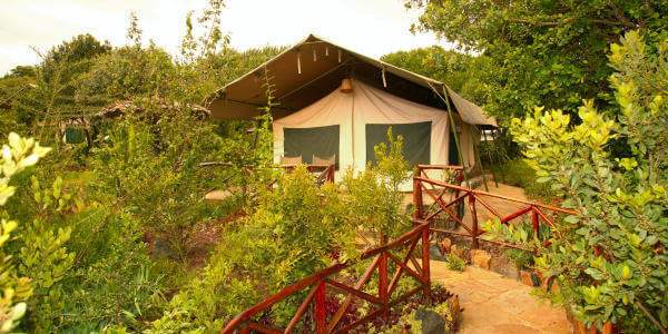 Rhino Watch Safari Lodge accommodatie optie in de tuin in luxe safari tenten omgeven door een inheemse tuin Aberdare Nationaal Park in Kenia