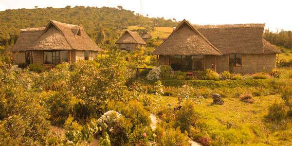 Rhino Watch Safari Lodge klik voor verdere informatie! 
