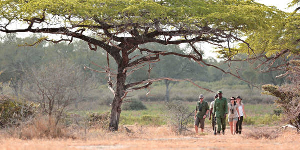 Roho ya Selous natuurwandeling, Nyerere Nationaal Park in Tanzania Roho ya Selous natuurwandeling, Nyerere Nationaal Park in Tanzania