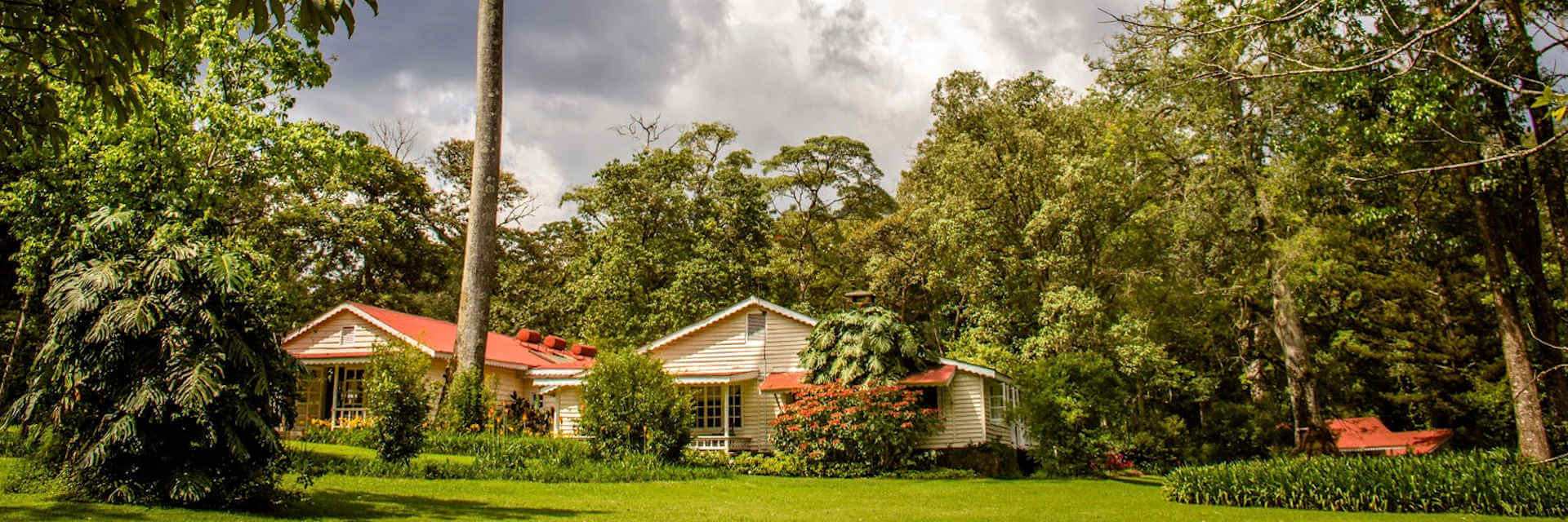 Rondo Retreat gemoedelijk guesthouse nabij Kakamega Forest Rondo Retreat gemoedelijk guesthouse nabij Kakamega Forest