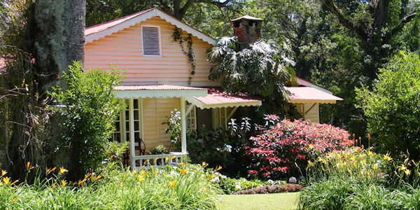 Rondo Retreat turton's house, Kakamega Forest in Kenia Rondo Retreat turton's house, Kakamega Forest in Kenia
