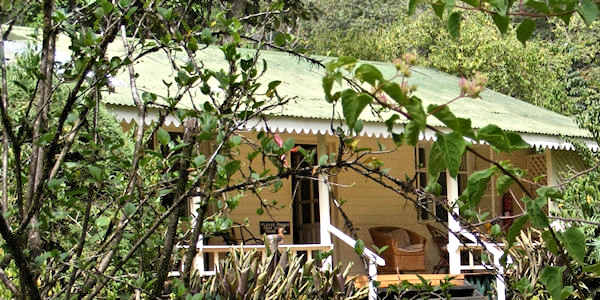 Rondo Retreat accommodatie nandi familie cottage, Kakamega Forest in Kenia Rondo Retreat accommodatie nandi familie cottage, Kakamega Forest in Kenia