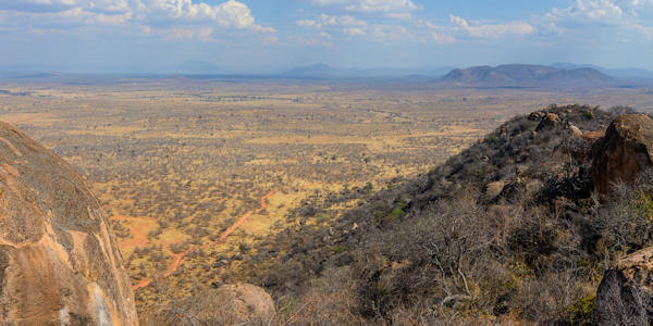 Ruaha nationaal park ongekende vergezichten, weidse vlaktes en mooie rivierbossen. Ruaha nationaal park ongekende vergezichten, weidse vlaktes en mooie rivierbossen.