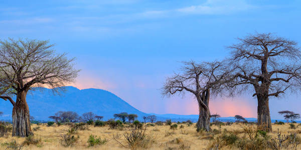 Ruaha Nationaal Park overzicht hotels, lodges en tented camps Ruaha Nationaal Park overzicht hotels, lodges en tented camps
