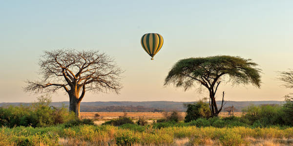 Unieke gelegenheid in Ruaha nationaal park te verkennen met een ballon safari bij zonsopkomst Unieke gelegenheid in Ruaha nationaal park te verkennen met een ballon safari bij zonsopkomst