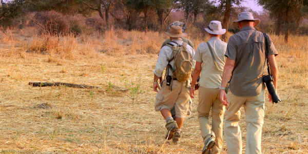 Ruaha nationaal park leent zich bij uitstek voor avontuurlijke gamewalks onder begeleiding van rangers Ruaha nationaal park leent zich bij uitstek voor avontuurlijke gamewalks onder begeleiding van rangers