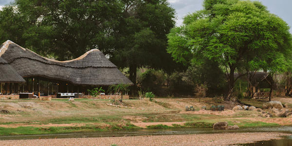 Ruaha River Lodge klik voor verdere informatie! Ruaha River Lodge klik voor verdere informatie!