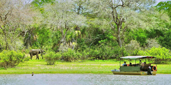 Rufiji River Camp boot safari, Nyerere Nationaal Park in Tanzania Rufiji River Camp boot safari, Nyerere Nationaal Park in Tanzania