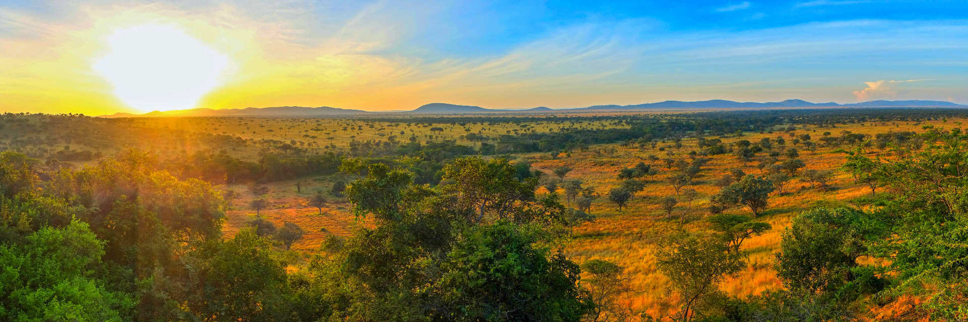 Tanzania safari parken ongekende landschappen en fascinerende wildleven op de weidse savannes van de Serengeti Tanzania safari parken ongekende landschappen en fascinerende wildleven op de weidse savannes van de Serengeti