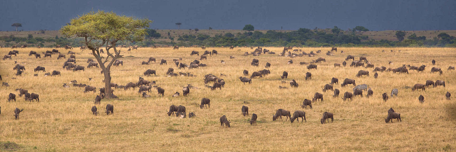 Avontuurlijke prive safari reizen en maatwerk rondreizen Kenia Avontuurlijke prive safari reizen en maatwerk rondreizen Kenia