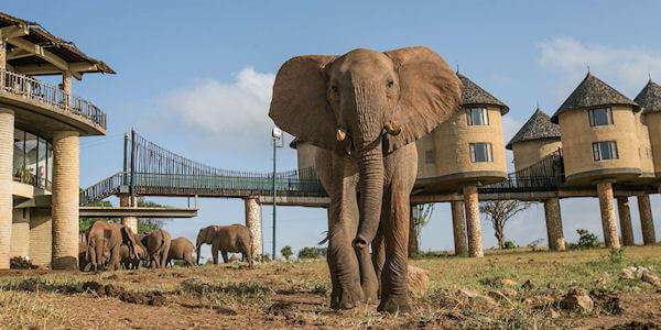 Salt Lick Safari Lodge uitzicht bunker, Tsavo West Nationaal Park in Kenia
