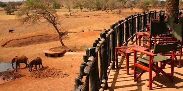 Salt Lick Safari Lodge accommodatie verandadek restaurant, Tsavo West Nationaal Park in Kenia