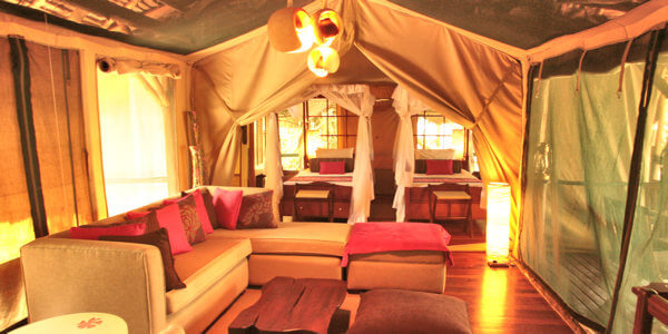 Samburu Intrepids Camp accommodatie familietent inrichting, Samburu Nationaal Reservaat in Kenia