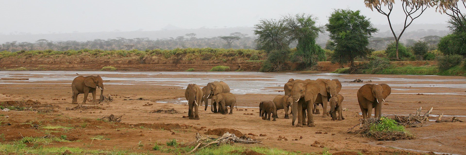 Samburu en Buffalo Springs reservaat zijn beide ongekende safari bestemmingen voor het observeren van het wild in Kenia Samburu en Buffalo Springs reservaat zijn beide ongekende safari bestemmingen voor het observeren van het wild in Kenia