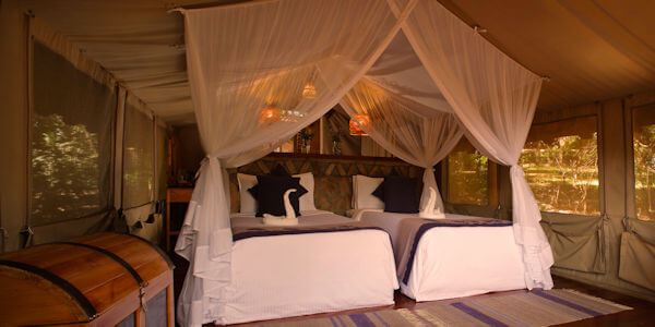 Sarova Mara Game Camp accommodatie standaard tent inrichting, Masai Mara in Kenia Sarova Mara Game Camp accommodatie standaard tent inrichting, Masai Mara in Kenia