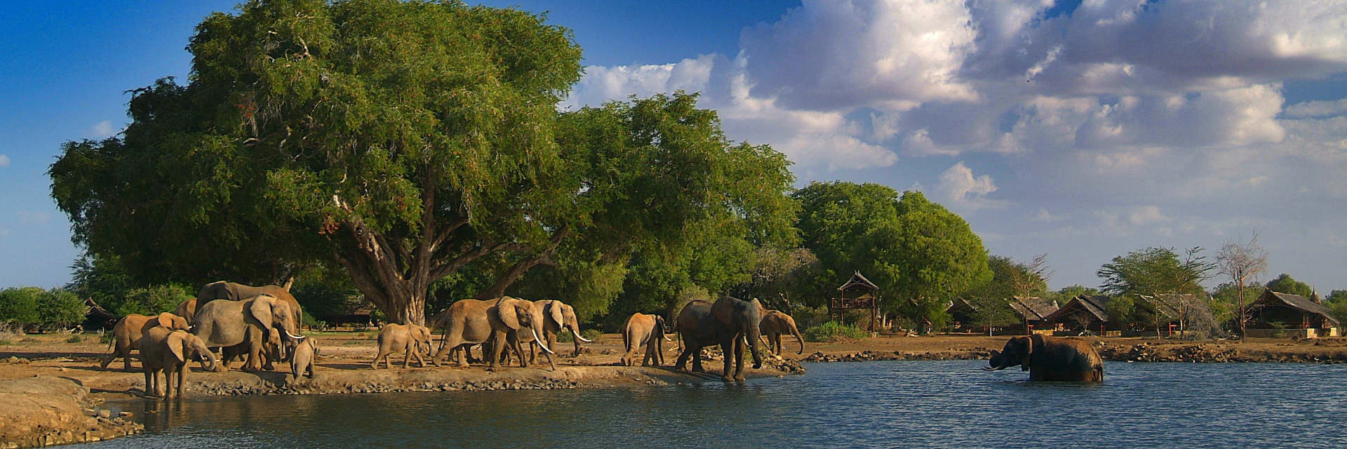 Satao Safari Camp kleinschalig intiem tentenkamp diep verscholen in het Tsavo Oost Nationaal Park Satao Safari Camp kleinschalig intiem tentenkamp diep verscholen in het Tsavo Oost Nationaal Park