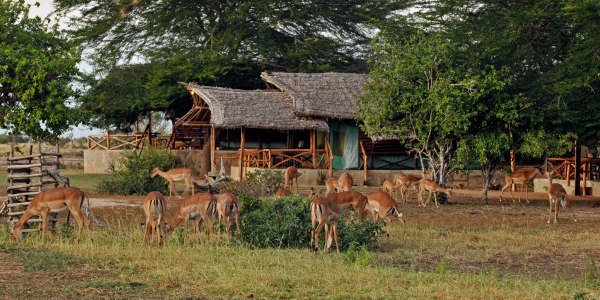 Satao Safari Camp klik voor verdere informatie! 