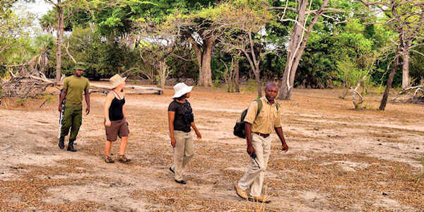 Selous Impala Camp bushwalk, Nyerere Nationaal Park in Tanzania Selous Impala Camp bushwalk, Nyerere Nationaal Park in Tanzania