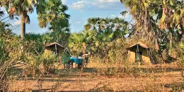 Selous Impala Camp accommodatie fly camp, Nyerere Nationaal Park in Tanzania Selous Impala Camp accommodatie fly camp, Nyerere Nationaal Park in Tanzania