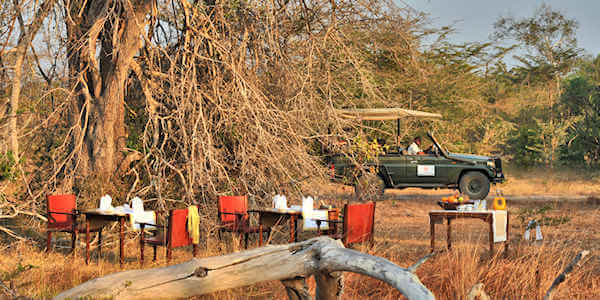 Selous Serena Camp bush breakfast, Nyerere Nationaal Park in Tanzania Selous Serena Camp bush breakfast, Nyerere Nationaal Park in Tanzania