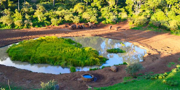 Serena Mountain Lodge accommodatie drinkwaterplaats, Mount Kenya Nationaal Park in Kenia