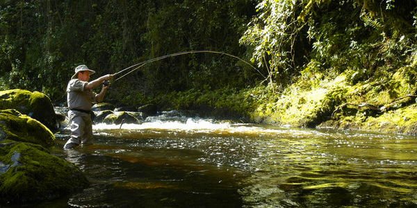 Serena Mountain Lodge accommodatie forelvissen, Mount Kenya Nationaal Park in Kenia
