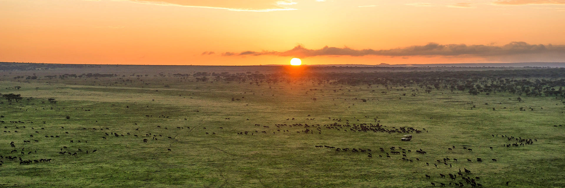 Serengeti nationaal park wereldwijd bekend om de grote gnoe migratie over de eindeloze savannevlaktes Serengeti nationaal park wereldwijd bekend om de grote gnoe migratie over de eindeloze savannevlaktes