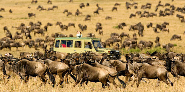 Serengeti Nationaal Park, Tanzania Serengeti Nationaal Park, Tanzania