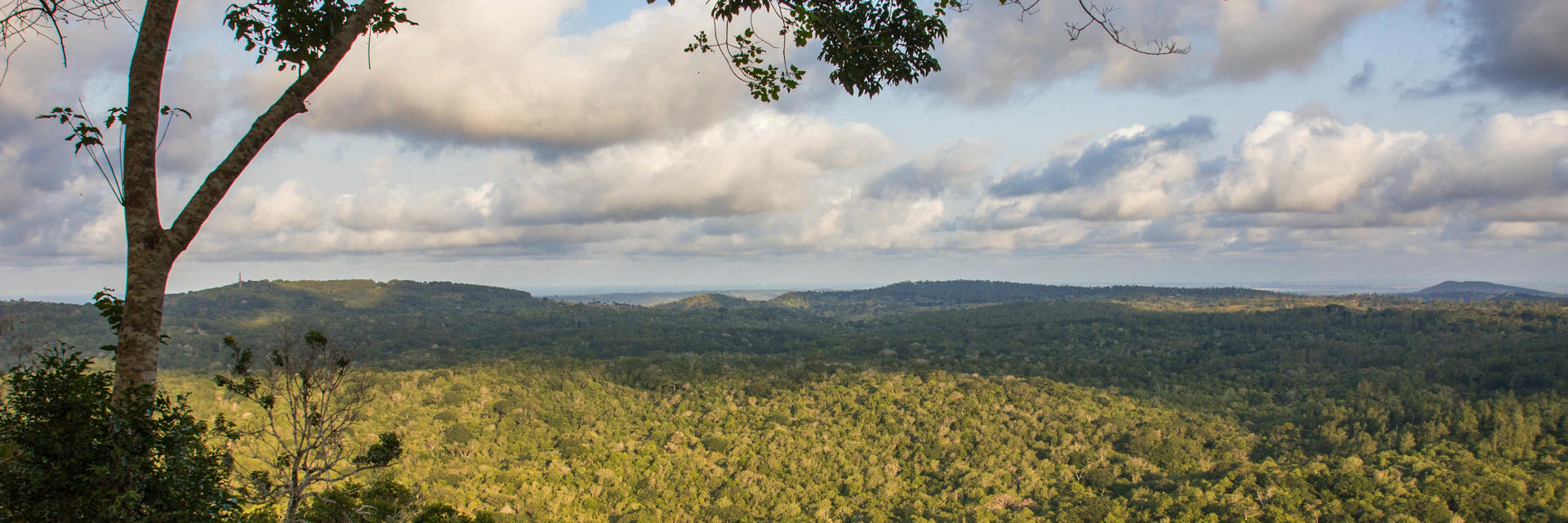 Shimba Hills nationaal park met mooie vergezichten een sabelantiloop paradijs Shimba Hills nationaal park met mooie vergezichten een sabelantiloop paradijs