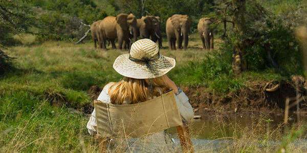 Sosian Lodge wild observeren aan de rivier, Laikipia in Kenia