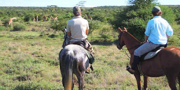 Sosian Lodge paardrijden in het wild, Laikipia in Kenia