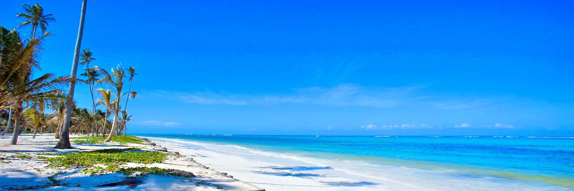 Nagenieten van een exotische zon- en strandvakantie op Zanzibar Nagenieten van een exotische zon- en strandvakantie op Zanzibar