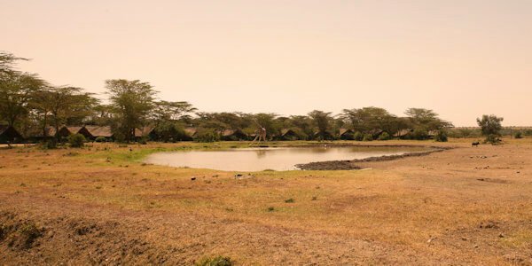 Sweetwaters Serena Camp met uitzicht op drinkwaterplaats en Mount Kenya Sweetwaters Serena Camp met uitzicht op drinkwaterplaats en Mount Kenya