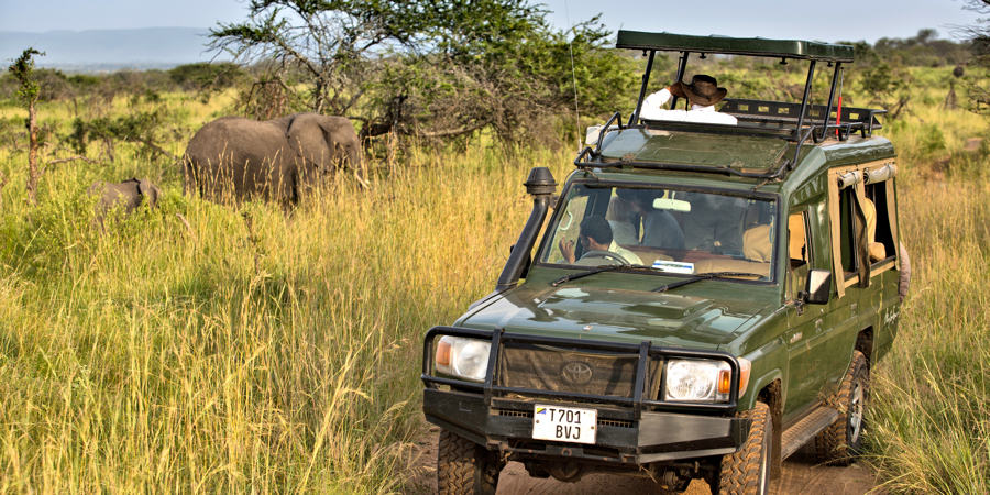 Tanzania informatie overzicht parken, hotels en lodges, beste reisperiode Tanzania informatie overzicht parken, hotels en lodges, beste reisperiode