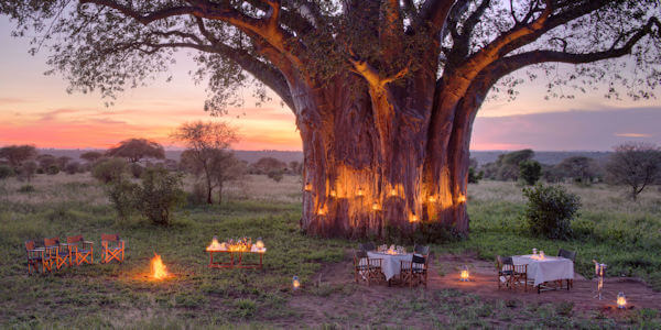 Tarangire Ndovu Tented Lodge accommodatie bush-diner, Tarangire Nationaal Park in Tanzania Tarangire Ndovu Tented Lodge accommodatie bush-diner, Tarangire Nationaal Park in Tanzania