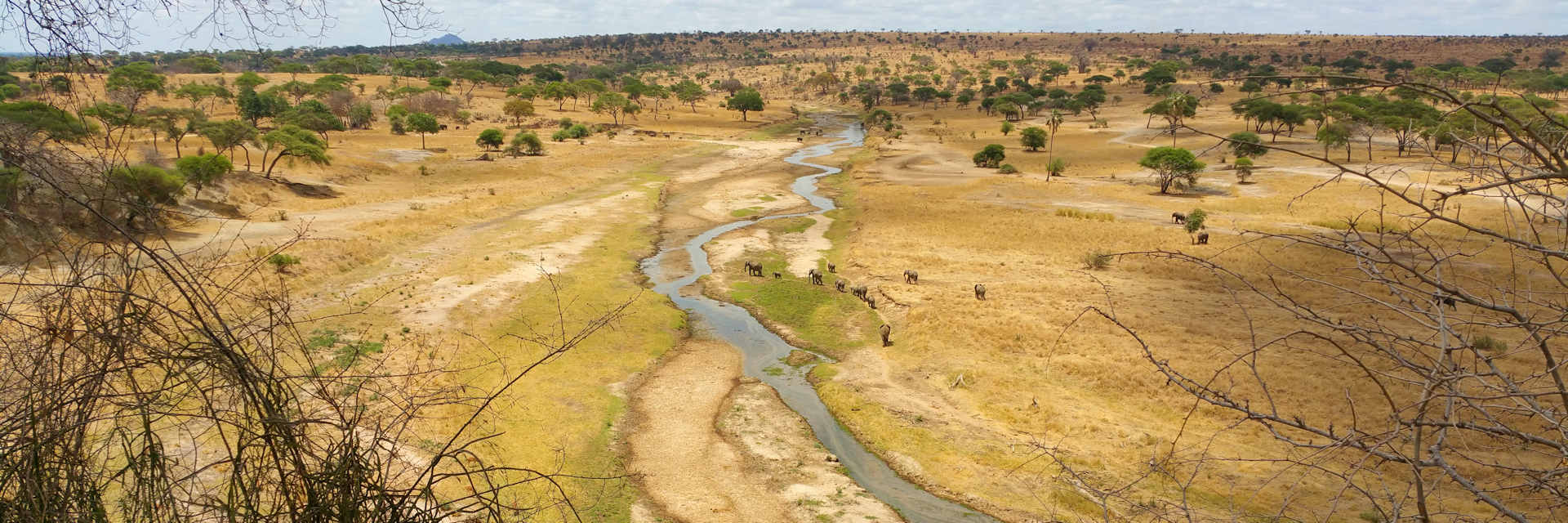 Tarangire nationaal park vergezicht over de zandrivier Tarangire nationaal park vergezicht over de zandrivier