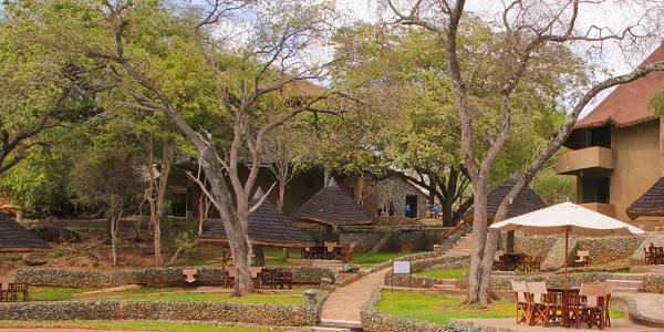 Tarangire Sopa Lodge klik voor verdere informatie! Tarangire Sopa Lodge klik voor verdere informatie!
