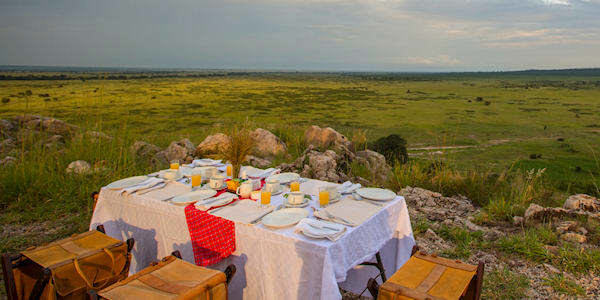 Tarangire Treetops bushbreakfast, Tarangire Nationaal Park in Tanzania Tarangire Treetops bushbreakfast, Tarangire Nationaal Park in Tanzania