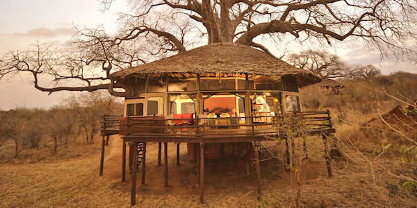 Tarangire Treetops klik voor verdere informatie! Tarangire Treetops klik voor verdere informatie!