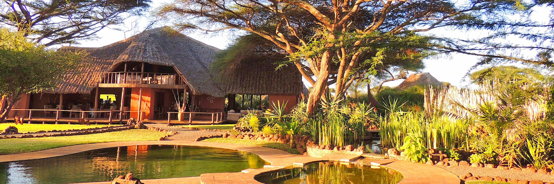 Tawi lodge is een kleinschalige lodge aan de oostelijke zijde van het Amboseli nationaal park Tawi lodge is een kleinschalige lodge aan de oostelijke zijde van het Amboseli nationaal park