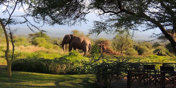Tawi Lodge drinkwaterplaats murray's bar, Amboseli Nationaal Park in Kenia Tawi Lodge drinkwaterplaats murray's bar, Amboseli Nationaal Park in Kenia