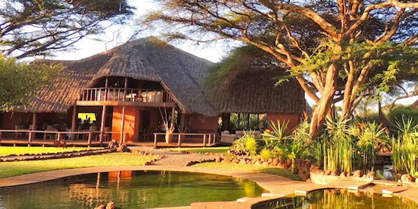 Tawi Lodge klik voor verdere informatie! Tawi Lodge klik voor verdere informatie!