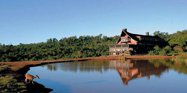 The Ark Lodge drinkwaterplaats trekt grote diversiteit van wild aan in het Aberdares Nationaal Park.