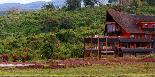 The Ark Lodge klik voor verdere informatie! 