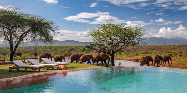 The Hildana Lodge zwembad + drinkwaterplaats, Tsavo West Nationaal Park in Kenia The Hildana Lodge zwembad + drinkwaterplaats, Tsavo West Nationaal Park in Kenia
