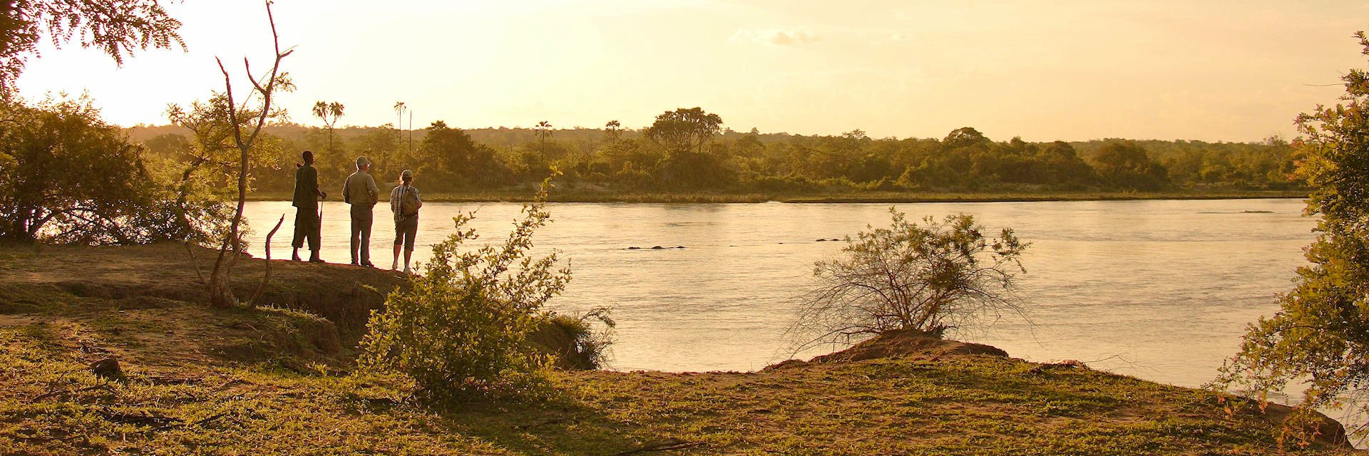 Maatwerk en Themareizen - Kenia en Tanzania Maatwerk en Themareizen - Kenia en Tanzania