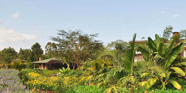 Tloma Mountain Lodge inheemse tuin, Ngorongoro Krater in Tanzania Tloma Mountain Lodge inheemse tuin, Ngorongoro Krater in Tanzania