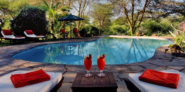 Naast het zwembad van de accommodatie is een bar en een smaakvol ingericht restaurant. Naast het zwembad van de accommodatie is een bar en een smaakvol ingericht restaurant, accommodatie Amboseli Nationaal Park in Kenia