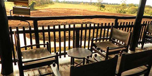 Het wild observeren is absoluut één van de vele hoogtepunten van Kenia in Treetops Lodge. Het wild observeren is absoluut één van de vele hoogtepunten van Kenia in Treetops Lodge.