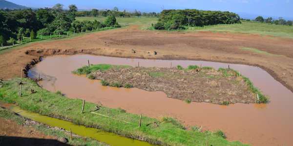 Treetops Lodge uitizcht vanaf het dakterras op de lager gelegen drinkwaterplaats. Aberdare Nationaal Park in Kenia